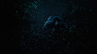 Ghost Island (2024)