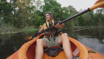 American River (2021)
