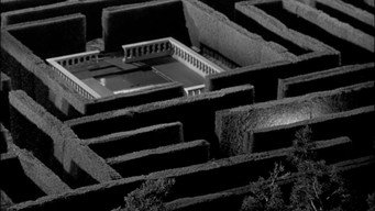 #10 The Maze