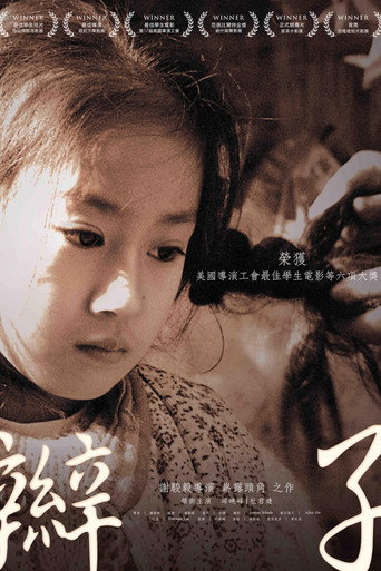 Braid (2011)