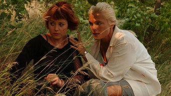 Конвой під прицілом (2005)