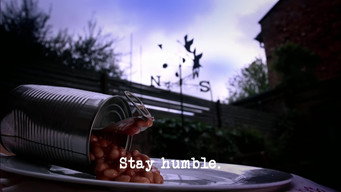 Stay Humble