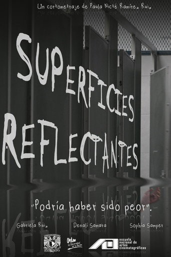 Reflective Surfaces (2025)