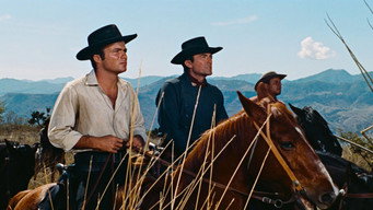 #5 The Bravados