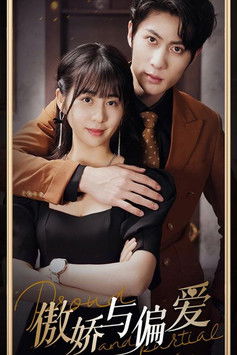 傲娇与偏爱 poster