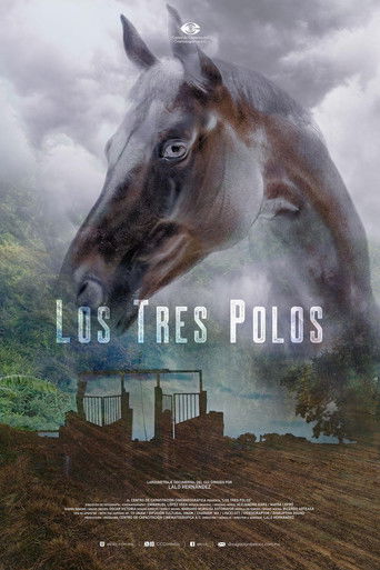 Los tres Polos (2025)