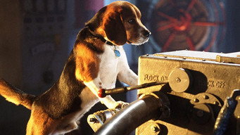 Cats & Dogs backdrop 4