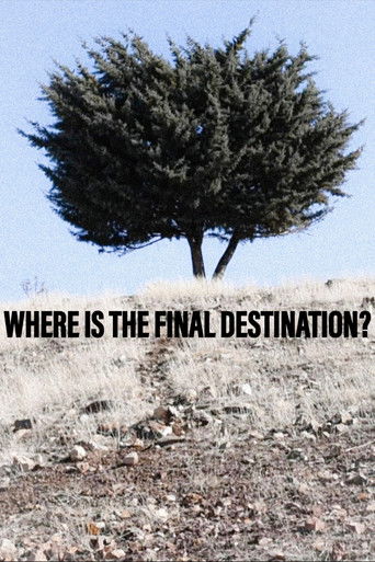 Where is the Final Destination? (2024)