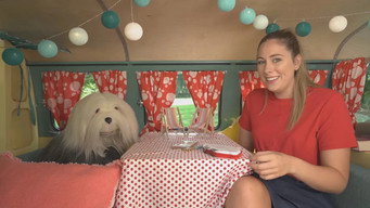 Episode 34 — Episode 34