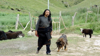 Старий пес (2011)