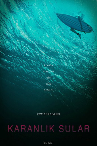 Poster 7