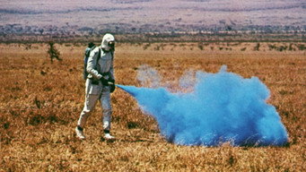 #24 Phase IV