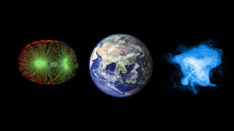 Beautiful Minds (2010-2012)