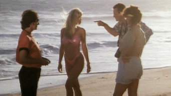 #4 Bikini Island