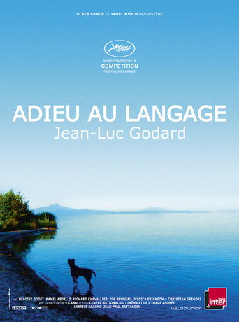 Goodbye to Language — Posters 15