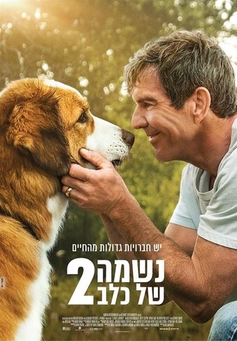 נשמה של כלב 2