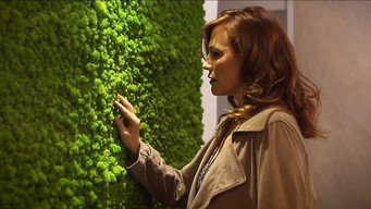 Laura's Hereafter (2019)