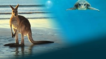 Animales con camaras - S2E01