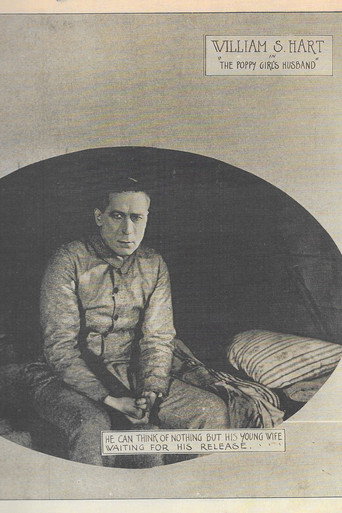 The Poppy Girl's Husband