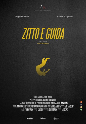 Pôster de Zitto e guida