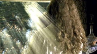 Episode 7 — Episode 7