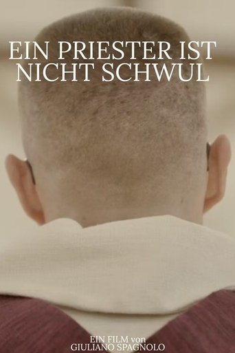 A Priest Is Not Gay poster