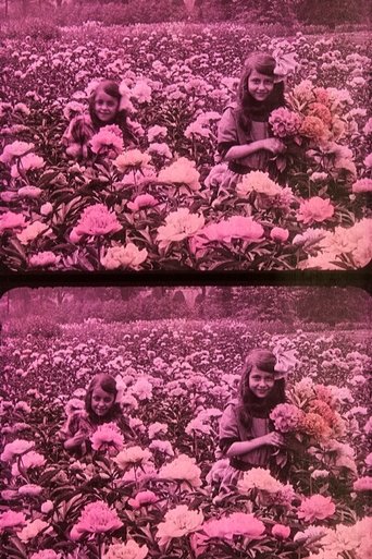 Flowery Spring poster