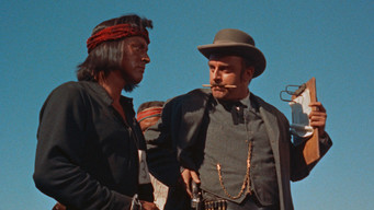 #19 Apache