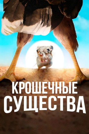 Постер «Крошечные существа»