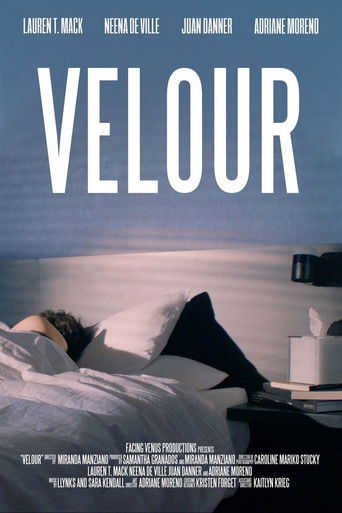 Velour poster