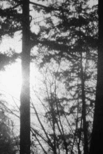 Bellingham Wood (2018)