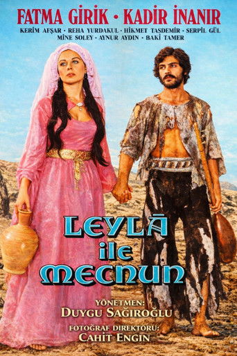Leyla ile Mecnun poster 3