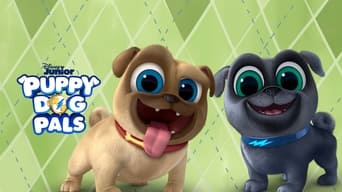 #14 Puppy Dog Pals