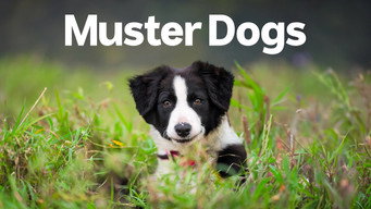 #5 Muster Dogs