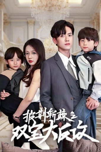 披荆斩棘之双宝大反攻 poster