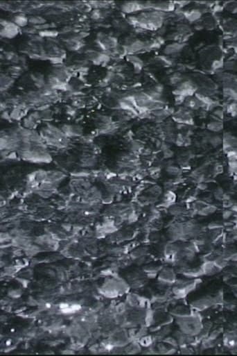 Cailloux, rocher, algues poster