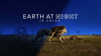 #11 Кольори нічної планети
