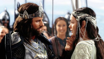The Lord of the Rings: The Return of the King backdrop 6