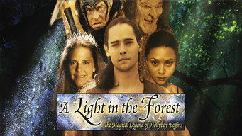 #4 A Light in the Forest