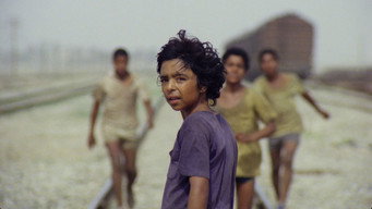 #8 The Runner