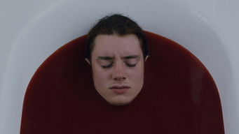 Galeria 3 - The Candy Witch