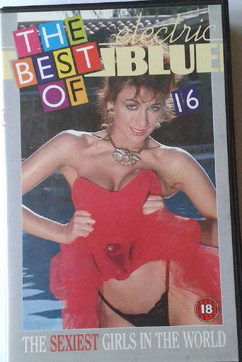 Electric Blue: The Best of Electric Blue 16 (1989)