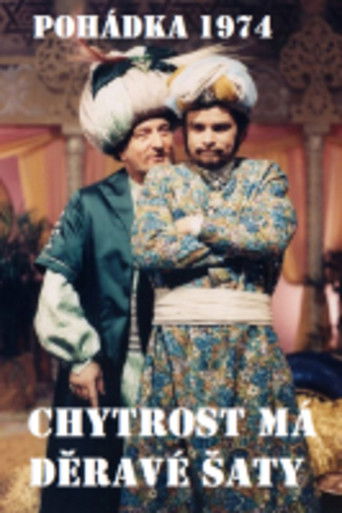 Chytrost má děravé šaty