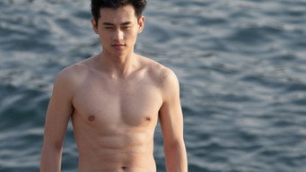 #8 Thirty Years of Adonis