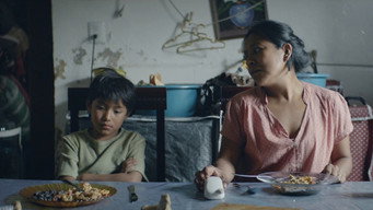 The Good Mother (2017)