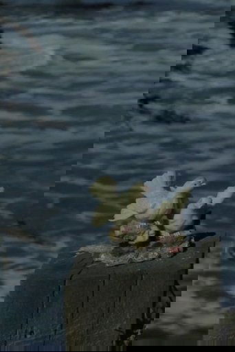 Mi vida sin mí poster