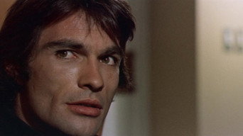 #6 The Violent Professionals