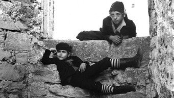 Серед сірих каменів (1983)