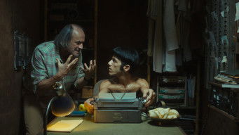 Galeria 3 - El año del tigre