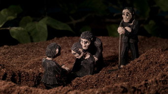 Зникле зображення (2013)